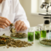 Medicinal Plants Show Anti-Proliferative Potential in sweeping Review of Natural Extracts
