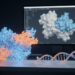 Computational mRNA vaccine design targets Puumala virus glycoprotein and nucleoprotein