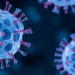 Stem Cell-Derived Vesicles Take Center Stage in Cancer Theranostics Review