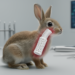 3D-Printed Synthetic Tracheal Patch Keeps Rabbit Airways Open for 30 Days