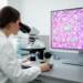 AI Reads Testicular Biopsies and Matches Pathologists at the ICSI Decision Cutoff
