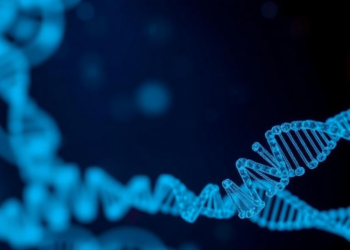 RNA Modification and Cell Death Genes Point to New Prognostic Tool for Ovarian Cancer