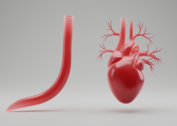 Sudanese Angiography Study Finds Women’s Coronary Arteries Are Longer and More Tapered Than Men’s