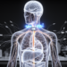 NIH’s SPARC program spent a decade building the foundations of bioelectronic medicine