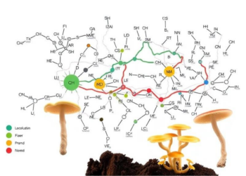 Fungal Chemistry Map Reveals How Trichoderma Could Power Next-Generation Biostimulants