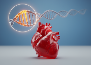 APOE ε4 Carriers Face Higher Heart Attack Risk, Large Genetic Review Finds