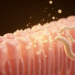 Parasite Larvae and Their Vesicles Push Gut Cells in Opposite Directions in Lab Study