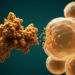 Newly Found Fungal Enzyme Shows Cytotoxicity Against Pancreatic Cancer Cells in Lab Tests