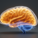 Reward Signals Sweep the Entire Mouse Visual Cortex