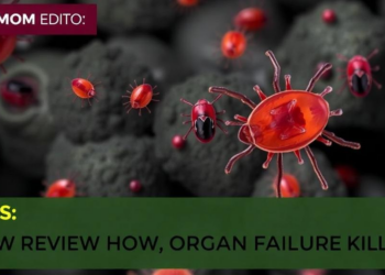 Tick-Borne SFTS Virus: New Review Maps How Multi-Organ Failure Kills