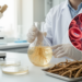 Compounds from Jatropha curcas roots show potent, slow-acting activity against malaria parasites in the lab