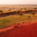 Scoping review maps land degradation drivers in Ethiopia’s Borana Zone