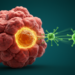 Tumor Protein RNF128 Linked to Immune Resistance in Bladder Cancer