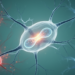 NF-κB1 Emerges as a Context-Dependent Switch in Neurodegenerative Disease
