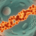 Heat Shock Proteins Shape Cancer Growth and Treatment Resistance
