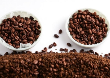 Two-Stage Fermentation Turns Spent Coffee Grounds into Yeast Biomass and Active Hydrogenases