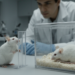 Witnessing Defeat Is Not the Same as Suffering It: Mouse Study Shows Two Stress Models Diverge