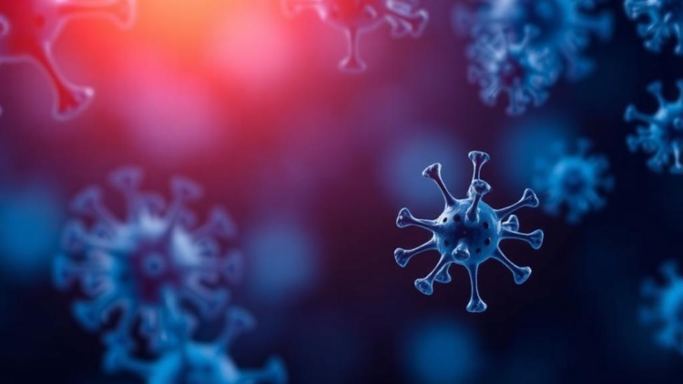 The Immune Adaptor MyD88 Emerges as a Double-Edged Sword in Cancer