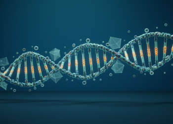 New k-mer estimator cracks substitution rates in repetitive DNA