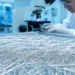 Hardware That Learns: UCLA-Rooted Nanowire Networks Point Toward Physical AI
