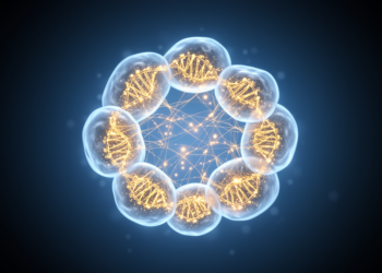 New AI framework scDECA fuses gene priors with cell-level structure in single-cell data
