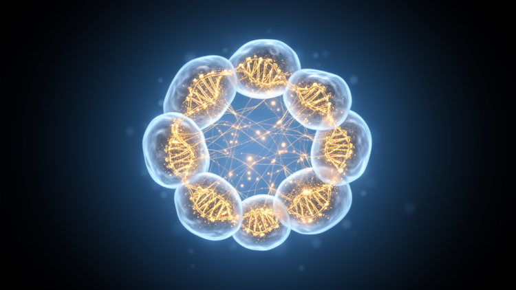 New AI framework scDECA fuses gene priors with cell-level structure in single-cell data