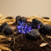 Manganese-Loaded Biochar Supercharges Fungal Humification of Crop Waste