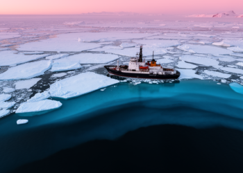 Antarctic sea ice decline abruptly reverses salinity and density trends in Antarctic Intermediate Water