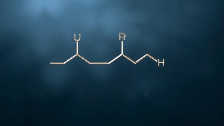 Palladium Chemistry Turns Iodoalkenes Into Enynes and Alkynyl Ketones