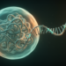 Long Non-Coding RNA LINC01140 Shows Dual Roles Across Human Cancers, Review Finds