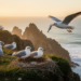 Seabird sex differences in foraging shift with colony and year, study finds