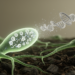 Fungal Hormone Hypothesis Gains Ground as Heptelidic Acid Loss Silences Metabolite Genes in Trichoderma virens