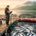 Salmon farming reviews mostly flawed, overview finds