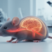 Asymmetric Carotid Stenosis Model Shows Sharper Cognitive Decline in Mice