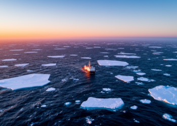 Sea ice decline reverses Antarctic Intermediate Water trends