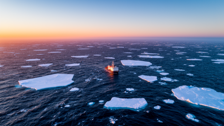 Sea ice decline reverses Antarctic Intermediate Water trends