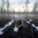 Drained forest peat soils emit less than assumed in cold-summer climate zone, synthesis finds