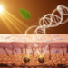 Environment, lifestyle and stress shape skin pigmentation through epigenetic changes