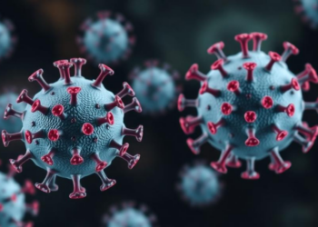 Antibody therapies target Andes virus through neutralization and Fc-mediated protection