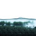 Three Decades of German Nitrate Rules Have Failed to Clean Up Groundwater