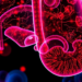 EGFR feedback blockade boosts pan-RAS inhibitor RMC-6236 in cholangiocarcinoma models