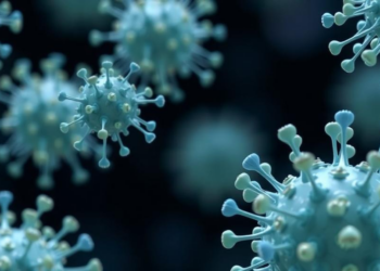 Natural Compounds That Build Their Own Nanomedicines Take Aim at Cancer
