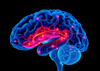 Approved cancer drug dabrafenib halts brain blood vessel malformations in mice