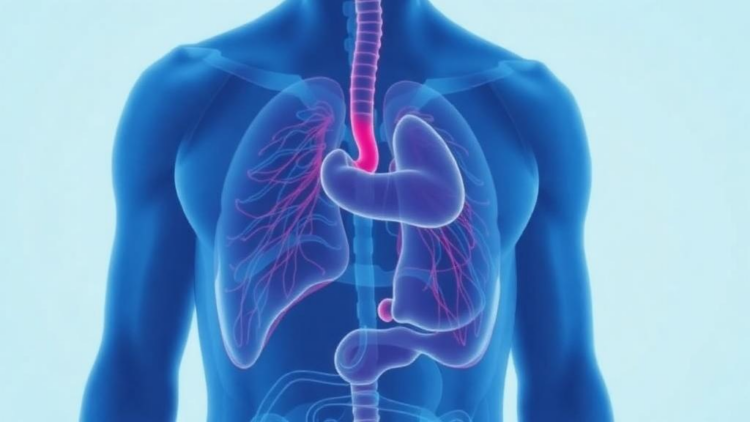 Low antithrombin III flags organ failure risk in severe pancreatitis study