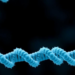 Immune Gene Variants Cluster With Severe Nasal Polyp and Asthma Phenotype