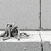 Hooked-end steel fibres boost concrete strength by up to 32.7% but slash workability