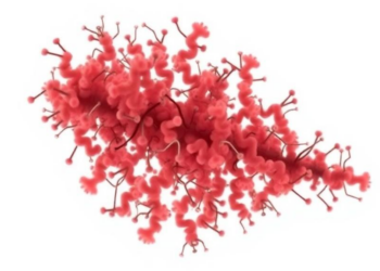 Prophages Shape Virulence, Not Resistance, in Staphylococcus aureus Genomes