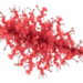 Prophages Shape Virulence, Not Resistance, in Staphylococcus aureus Genomes