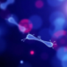 Luspatercept shows real-world promise for lower-risk MDS anemia in 26-patient study