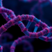 TNFAIP3 curbs lactylation-driven DNA repair and boosts chemotherapy sensitivity in ovarian cancer